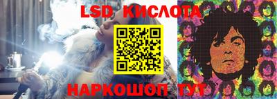 PSILOCYBIN Бугуруслан