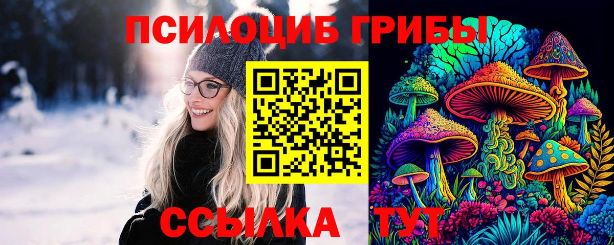 даркнет сайт  Псилоцибиновые грибы Psilocybine cubensis  Морозовск  Вход с VPN  Псилоцибиновые грибы Cubensis 